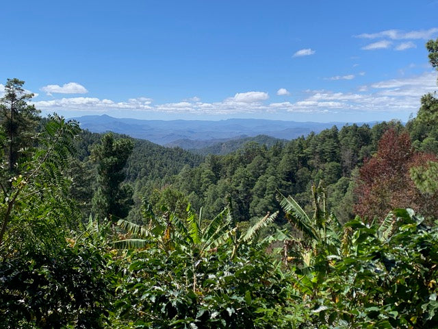 Nicaragua, Mozonte