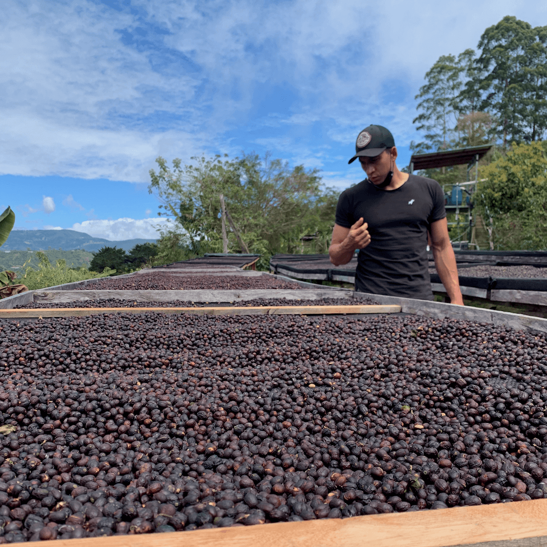 Fjärde advent, Costa Rica, Tarrazú